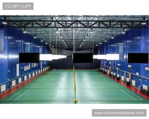 博乐体育如何提升用户体验，打造专业化体育内容生态系统