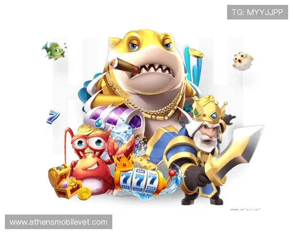 ng28南宫娱乐模拟器的技术支持与客户服务资源全面解读 ng28南宫娱乐模拟器的技术支持与客户服务资源全面解读