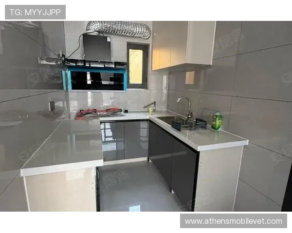 南宫28app用户评价与口碑分析，真实玩家体验分享与建议参考