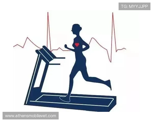 南宫体育馆的健康管理与运动指导服务,助你科学运动实现健康目标 南宫体育馆的健康管理与运动指导服务,助你科学运动实现健康目标