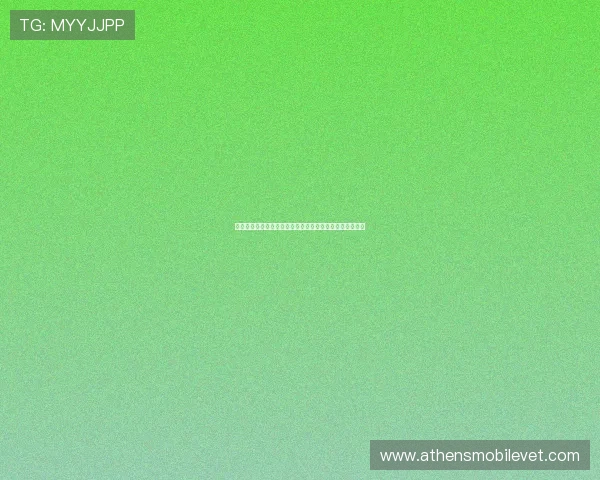 南宫国际娱乐用户评价与口碑分析真实玩家体验分享与建议