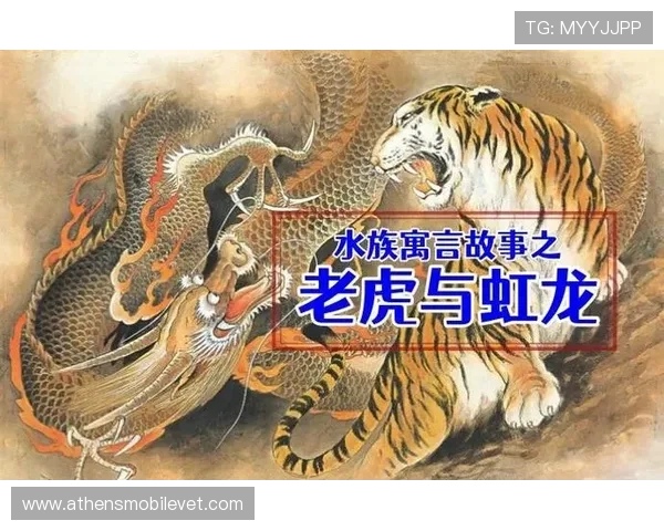 出龙与出虎的不同点有哪些：详细比较两者在文化和象征中的差异