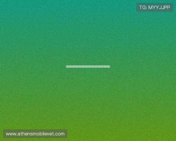 世界杯沙特对佛得角比赛前瞻：球队状态、阵容分析及比赛预测指南