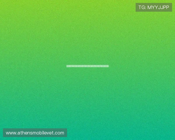 澳门买大小的详细攻略与最新玩法介绍帮助玩家轻松掌握游戏技巧