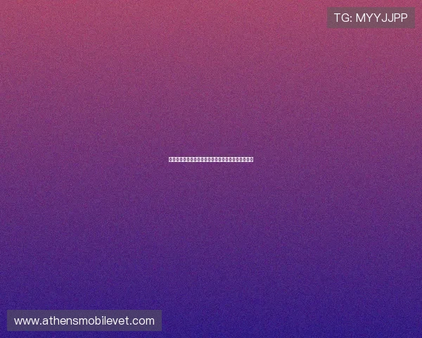比利时对埃及世界杯官方购票指南及最新购票流程详解